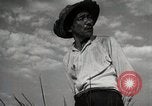 Image of Japanese Man Disagrees with the 4H Club Irrigation Project implementat Japan, 1950, second 10 stock footage video 65675025232
