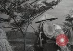 Image of Contrasts two Irrigation System the Traditional and the Modern One Japan, 1950, second 26 stock footage video 65675025233