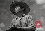 Image of Contrasts two Irrigation System the Traditional and the Modern One Japan, 1950, second 27 stock footage video 65675025233