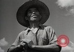 Image of Contrasts two Irrigation System the Traditional and the Modern One Japan, 1950, second 30 stock footage video 65675025233