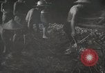 Image of Contrasts two Irrigation System the Traditional and the Modern One Japan, 1950, second 37 stock footage video 65675025233