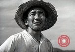 Image of Contrasts two Irrigation System the Traditional and the Modern One Japan, 1950, second 48 stock footage video 65675025233