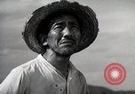 Image of Contrasts two Irrigation System the Traditional and the Modern One Japan, 1950, second 49 stock footage video 65675025233
