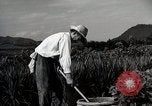 Image of Contrasts two Irrigation System the Traditional and the Modern One Japan, 1950, second 54 stock footage video 65675025233
