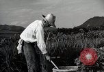 Image of Contrasts two Irrigation System the Traditional and the Modern One Japan, 1950, second 55 stock footage video 65675025233
