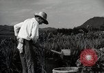 Image of Contrasts two Irrigation System the Traditional and the Modern One Japan, 1950, second 58 stock footage video 65675025233