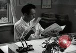 Image of Japanese men discuss the success of 4H club irrigation project Japan, 1950, second 39 stock footage video 65675025234
