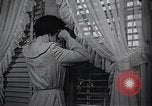 Immagine di American Donne al lavoro in fabbrica New York United States USA, 1950, secondo 51 filmato di repertorio 65675025249
