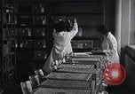 Image Women in American force de travail New York United States USA, 1950, de la seconde 11 séquences d'archives historiques vidéo 65675025251