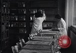 Image Women in American force de travail New York United States USA, 1950, de la seconde 12 séquences d'archives historiques vidéo 65675025251