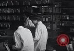 Image Women in American force de travail New York United States USA, 1950, de la seconde 17 séquences d'archives historiques vidéo 65675025251