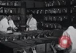 Image Women in American force de travail New York United States USA, 1950, de la seconde 19 séquences d'archives historiques vidéo 65675025251
