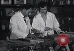 Image Women in American force de travail New York United States USA, 1950, de la seconde 23 séquences d'archives historiques vidéo 65675025251