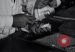 Image Women in American force de travail New York United States USA, 1950, de la seconde 31 séquences d'archives historiques vidéo 65675025251
