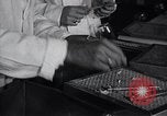 Image Women in American force de travail New York United States USA, 1950, de la seconde 38 séquences d'archives historiques vidéo 65675025251