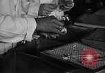 Image Women in American force de travail New York United States USA, 1950, de la seconde 39 séquences d'archives historiques vidéo 65675025251