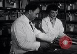 Image Women in American force de travail New York United States USA, 1950, de la seconde 47 séquences d'archives historiques vidéo 65675025251