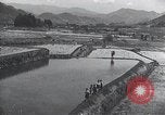 Immagine di I bambini del Giappone Giappone, 1941, secondo 30 filmato di repertorio 65675025252