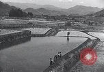 Immagine di I bambini del Giappone Giappone, 1941, secondo 32 filmato di repertorio 65675025252