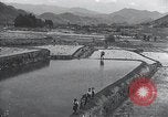 Immagine di I bambini del Giappone Giappone, 1941, secondo 34 filmato di repertorio 65675025252