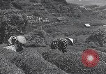 Immagine di I bambini del Giappone Giappone, 1941, secondo 44 filmato di repertorio 65675025252