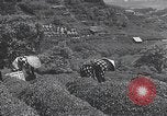 Immagine di I bambini del Giappone Giappone, 1941, secondo 45 filmato di repertorio 65675025252