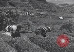 Immagine di I bambini del Giappone Giappone, 1941, secondo 46 filmato di repertorio 65675025252