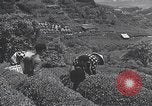 Immagine di I bambini del Giappone Giappone, 1941, secondo 47 filmato di repertorio 65675025252