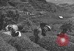 Immagine di I bambini del Giappone Giappone, 1941, secondo 48 filmato di repertorio 65675025252