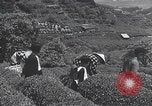 Immagine di I bambini del Giappone Giappone, 1941, secondo 49 filmato di repertorio 65675025252