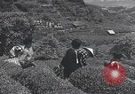 Immagine di I bambini del Giappone Giappone, 1941, secondo 50 filmato di repertorio 65675025252