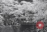 Image of Family makes an excursion to cherry blossom festival Japan, 1941, second 31 stock footage video 65675025255