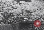 Image of Family makes an excursion to cherry blossom festival Japan, 1941, second 33 stock footage video 65675025255