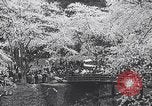 Image of Family makes an excursion to cherry blossom festival Japan, 1941, second 34 stock footage video 65675025255
