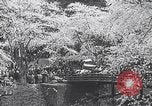 Image of Family makes an excursion to cherry blossom festival Japan, 1941, second 35 stock footage video 65675025255