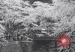 Image of Family makes an excursion to cherry blossom festival Japan, 1941, second 36 stock footage video 65675025255