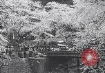 Image of Family makes an excursion to cherry blossom festival Japan, 1941, second 37 stock footage video 65675025255