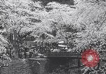 Image of Family makes an excursion to cherry blossom festival Japan, 1941, second 38 stock footage video 65675025255