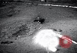 Image of Fighter jets drop bombs and hit targets United States USA, 1962, second 26 stock footage video 65675025261