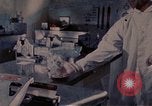 Image of Production line activities of Gemini space vehicle United States USA, 1967, second 1 stock footage video 65675025282
