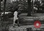Standbild arbeiten die amerikanischen Frauen zu Hause New York United States USA, 1950, aus Sekunde 52 historischem Filmmaterial Videoclip 65675025320