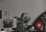 Standbild neuen Tag für arbeiten die amerikanischen Frauen New York United States USA, 1950, aus Sekunde 18 historischem Filmmaterial Videoclip 65675025321