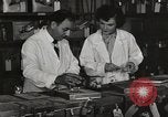 Standbild Bedeutung der amerikanischen Frauen als Arbeitskräfte New York United States USA, 1950, aus Sekunde 22 historischem Filmmaterial Videoclip 65675025323