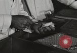Standbild Bedeutung der amerikanischen Frauen als Arbeitskräfte New York United States USA, 1950, aus Sekunde 30 historischem Filmmaterial Videoclip 65675025323