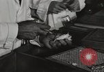 Standbild Bedeutung der amerikanischen Frauen als Arbeitskräfte New York United States USA, 1950, aus Sekunde 31 historischem Filmmaterial Videoclip 65675025323