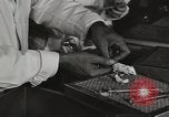 Standbild Bedeutung der amerikanischen Frauen als Arbeitskräfte New York United States USA, 1950, aus Sekunde 36 historischem Filmmaterial Videoclip 65675025323