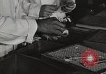 Standbild Bedeutung der amerikanischen Frauen als Arbeitskräfte New York United States USA, 1950, aus Sekunde 39 historischem Filmmaterial Videoclip 65675025323