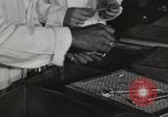 Standbild Bedeutung der amerikanischen Frauen als Arbeitskräfte New York United States USA, 1950, aus Sekunde 40 historischem Filmmaterial Videoclip 65675025323