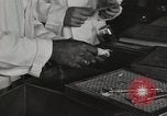 Standbild Bedeutung der amerikanischen Frauen als Arbeitskräfte New York United States USA, 1950, aus Sekunde 41 historischem Filmmaterial Videoclip 65675025323