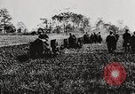 Standbild Bildung von Fordson Traktoren Pflügen eines Feldes United States USA, 1919, aus Sekunde 16 historischem Filmmaterial Videoclip 65675025331